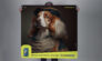 stupendog campagna pubblicitaria alterstudio