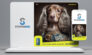 stupendog campagna pubblicitaria alterstudio